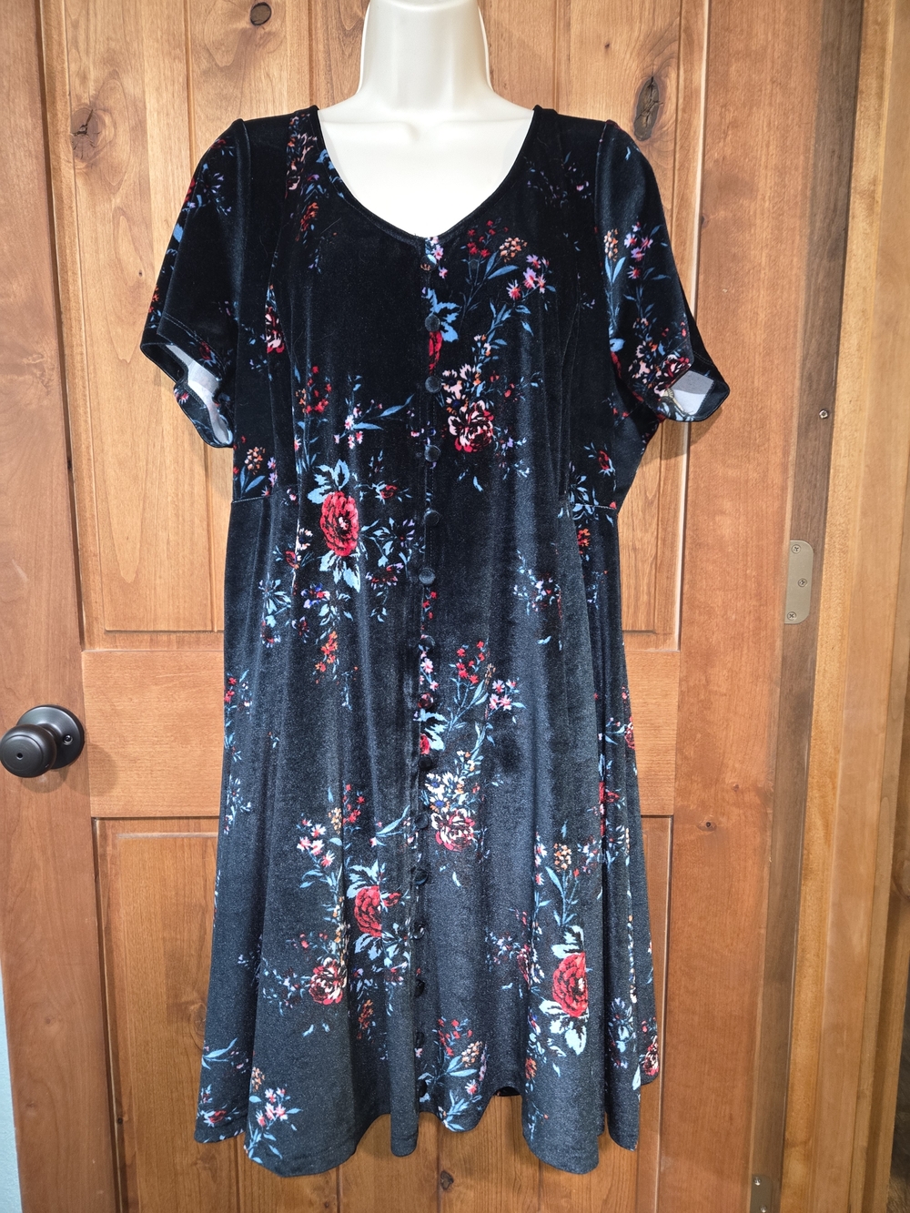 Torrid Black Velvet Dress with Red & Blue Floral Accents size 2